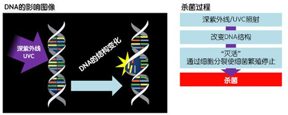 消費者開始關注到車載空氣凈化器，原來如此重要